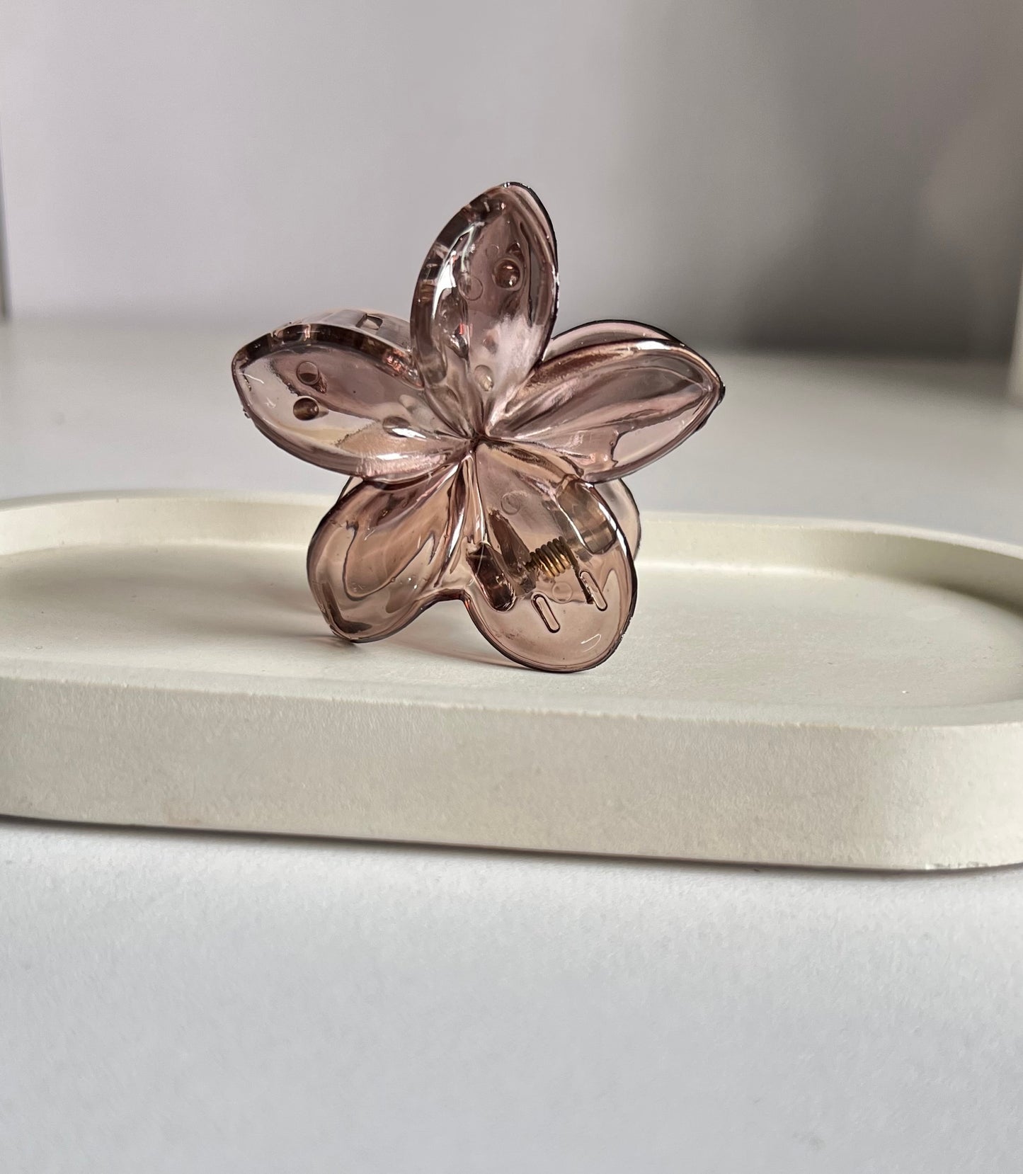 Glossy Bloom Medium Claw Clip ( 2 Pieces) - Dark Brown & Beige