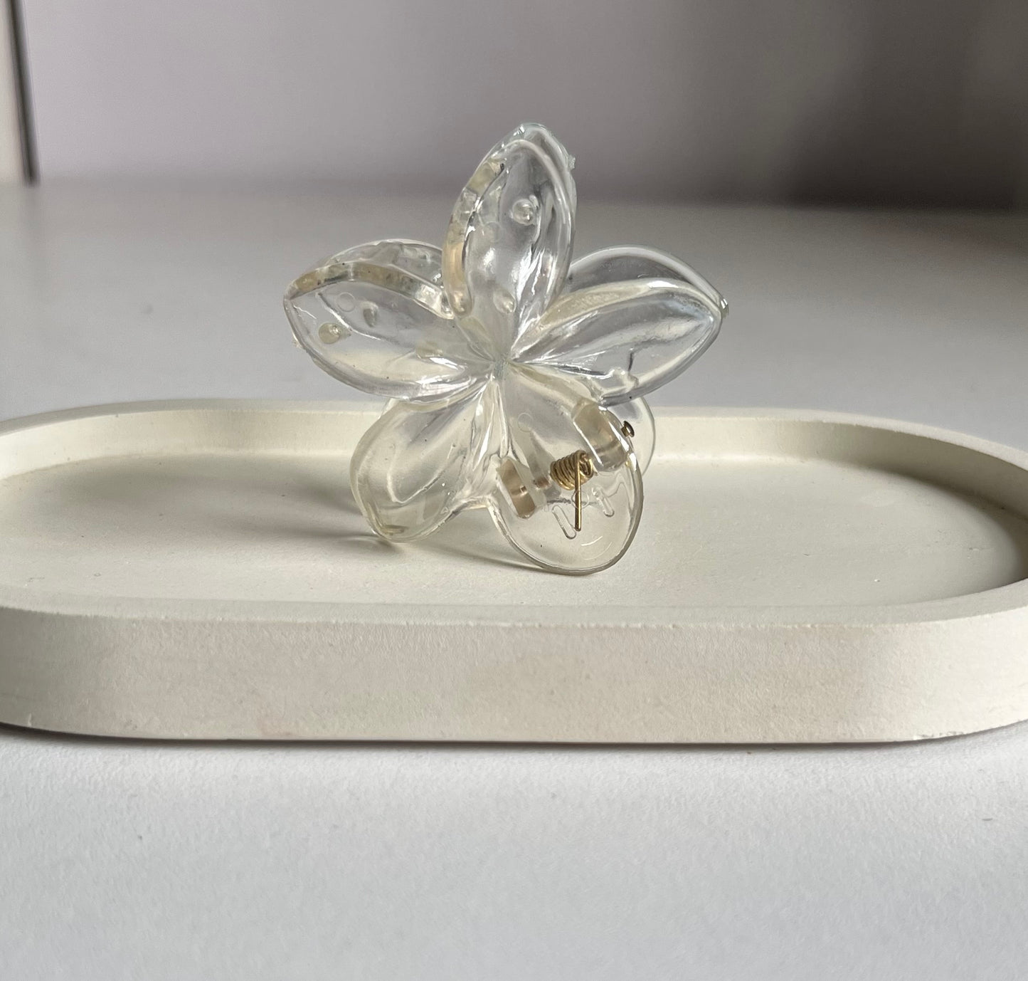 Glossy Bloom Medium Claw Clip ( 2 Pieces) - Light Brown & Clear