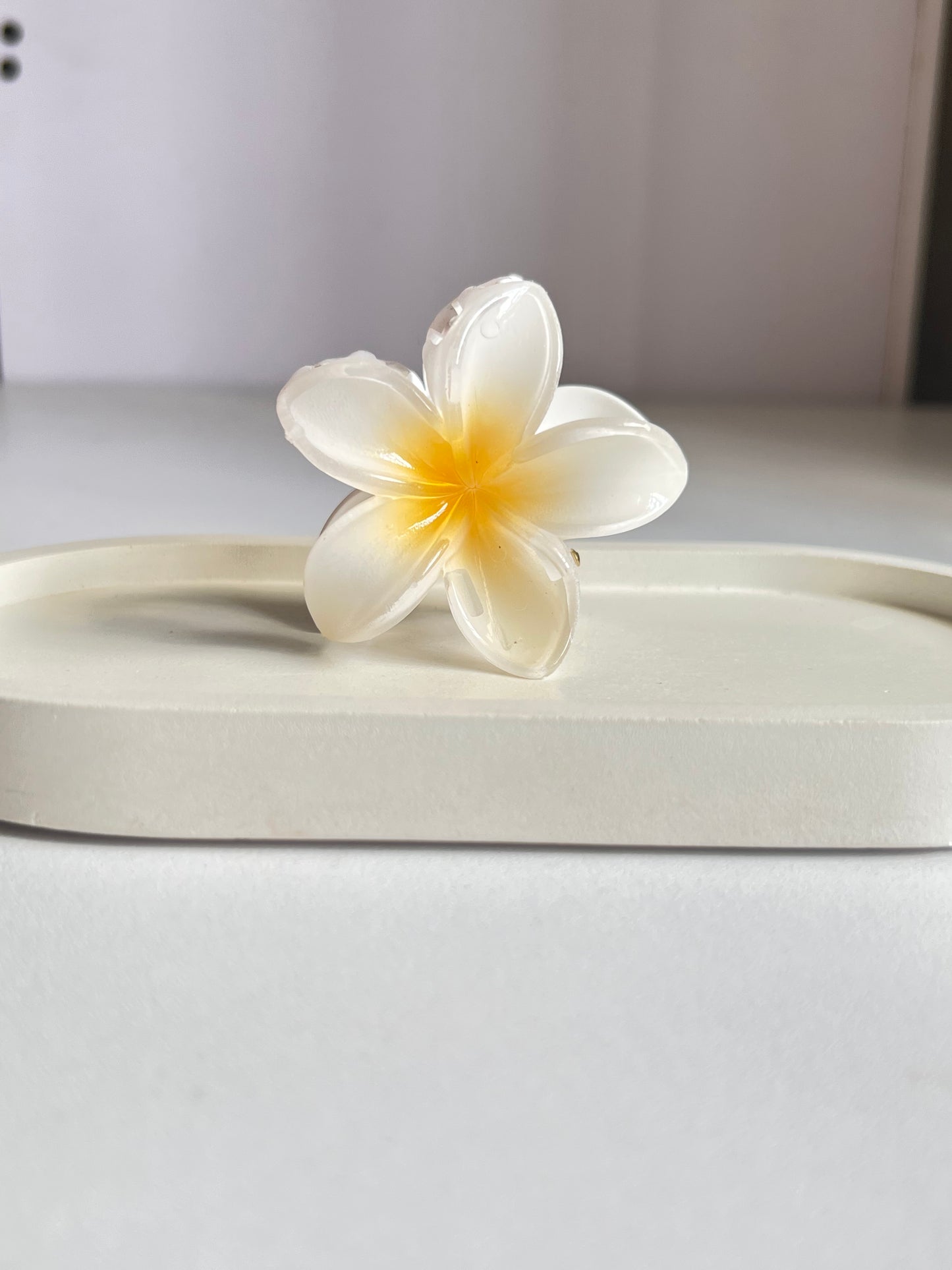 Blossom & Heart Mini Hair Clip Combo - White