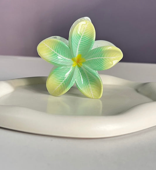 Flora Lock Amora Claw Clip - Beigish Green