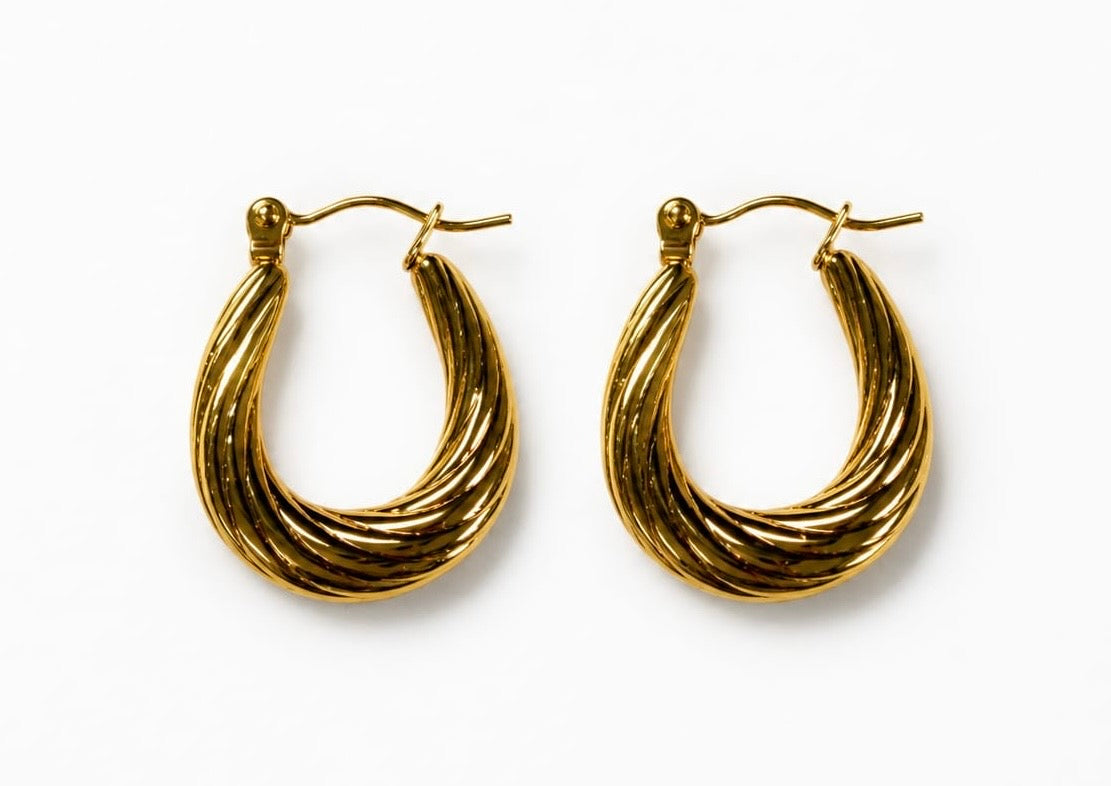 Everyday Luxe Anti Tarnish Hoops Earrings