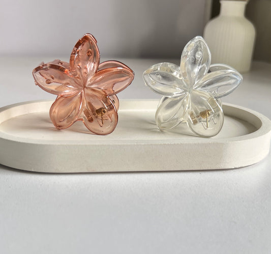 Glossy Bloom Medium Claw Clip ( 2 Pieces) - Light Brown & Clear