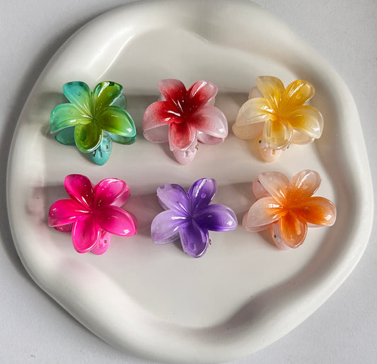 Flora Lock Mini Claw Clips - 6 Pieces