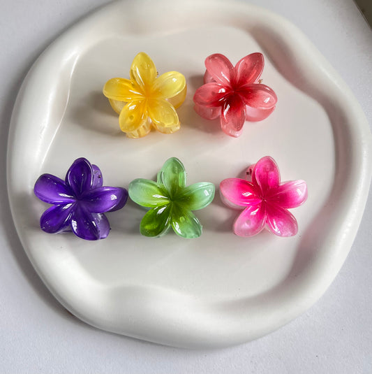 Flora Lock Mini Claw Clips - 5 Pieces