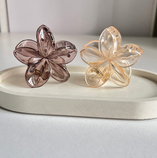 Glossy Bloom Medium Claw Clip ( 2 Pieces) - Dark Brown & Beige