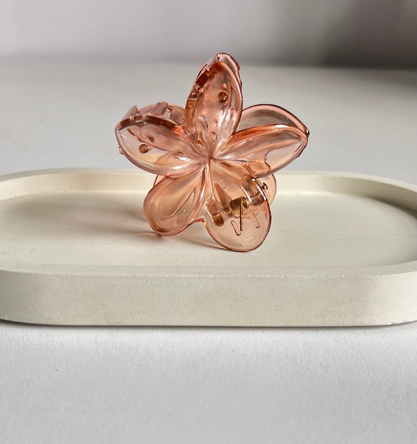 Glossy Bloom Medium Claw Clip ( 2 Pieces) - Light Brown & Clear